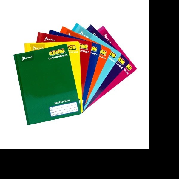 CUADERNO PROF. COLOR NORMA 581281 C7MM COS. 100H. PZA